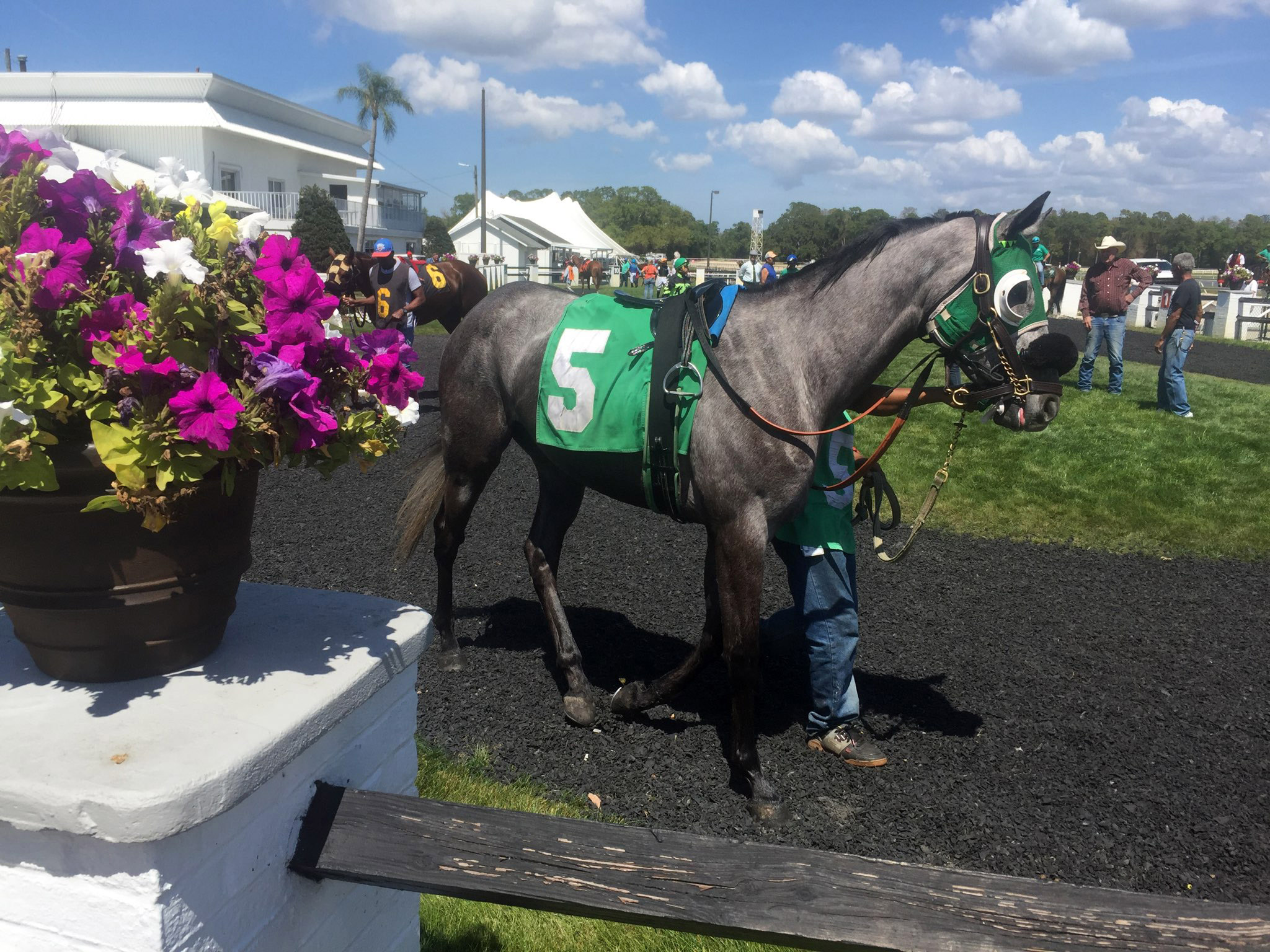 TampaBayDowns